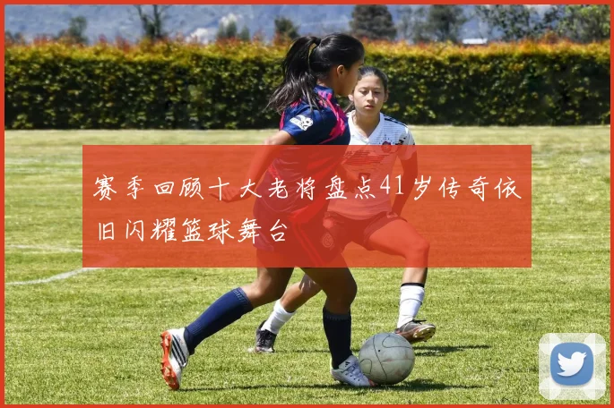 赛季回顾十大老将盘点41岁传奇依旧闪耀篮球舞台