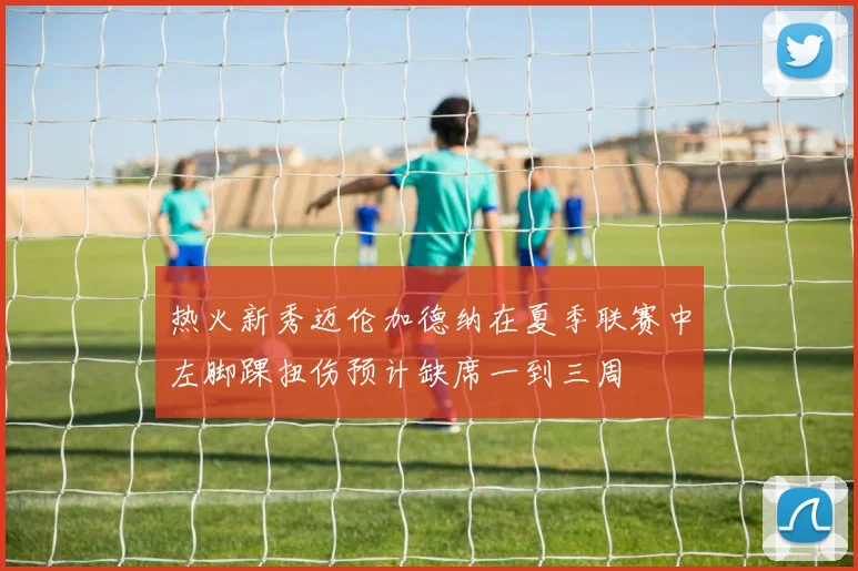 热火新秀迈伦加德纳在夏季联赛中左脚踝扭伤预计缺席一到三周